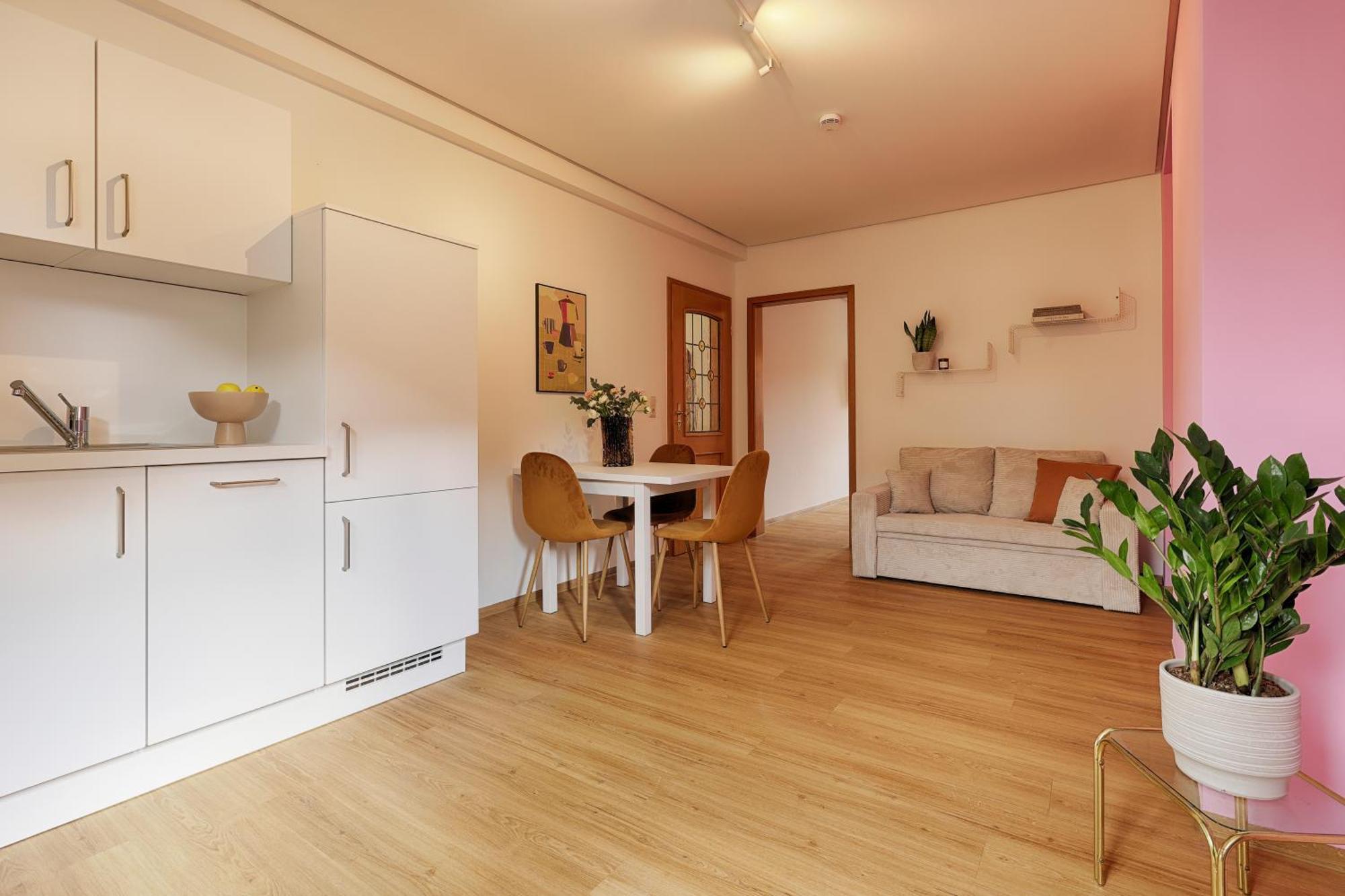 Homie Stay Badgasse - Fewos Am Main Mit Dachterrasse & Fahrradgarage Ochsenfurt Eksteriør bilde