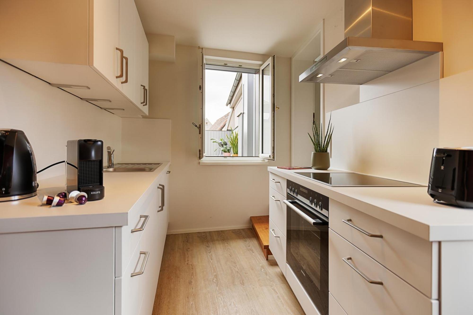 Homie Stay Badgasse - Fewos Am Main Mit Dachterrasse & Fahrradgarage Ochsenfurt Eksteriør bilde